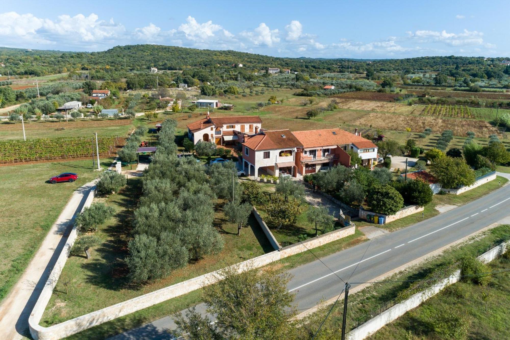 Olive Garden Apartman